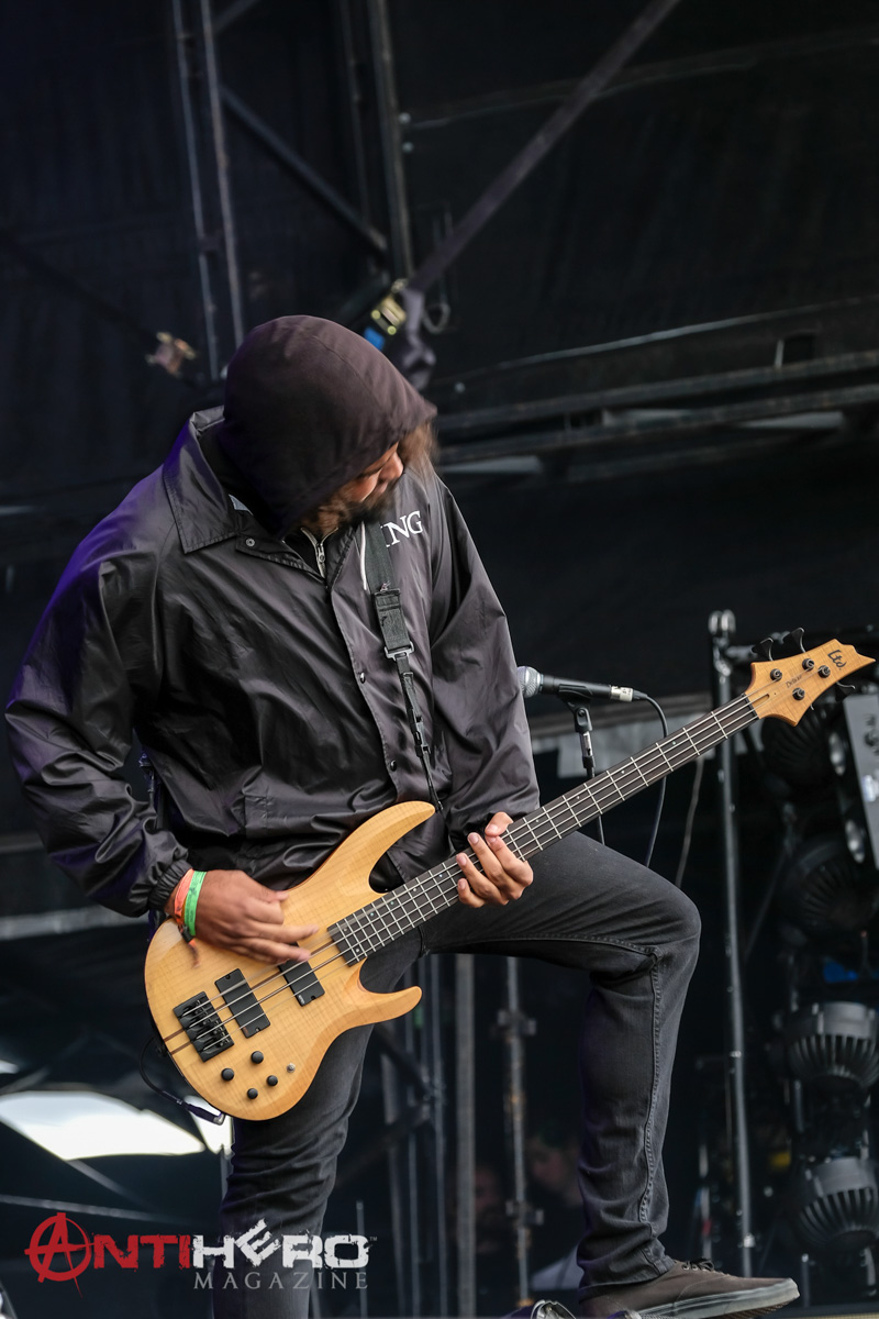 King 810