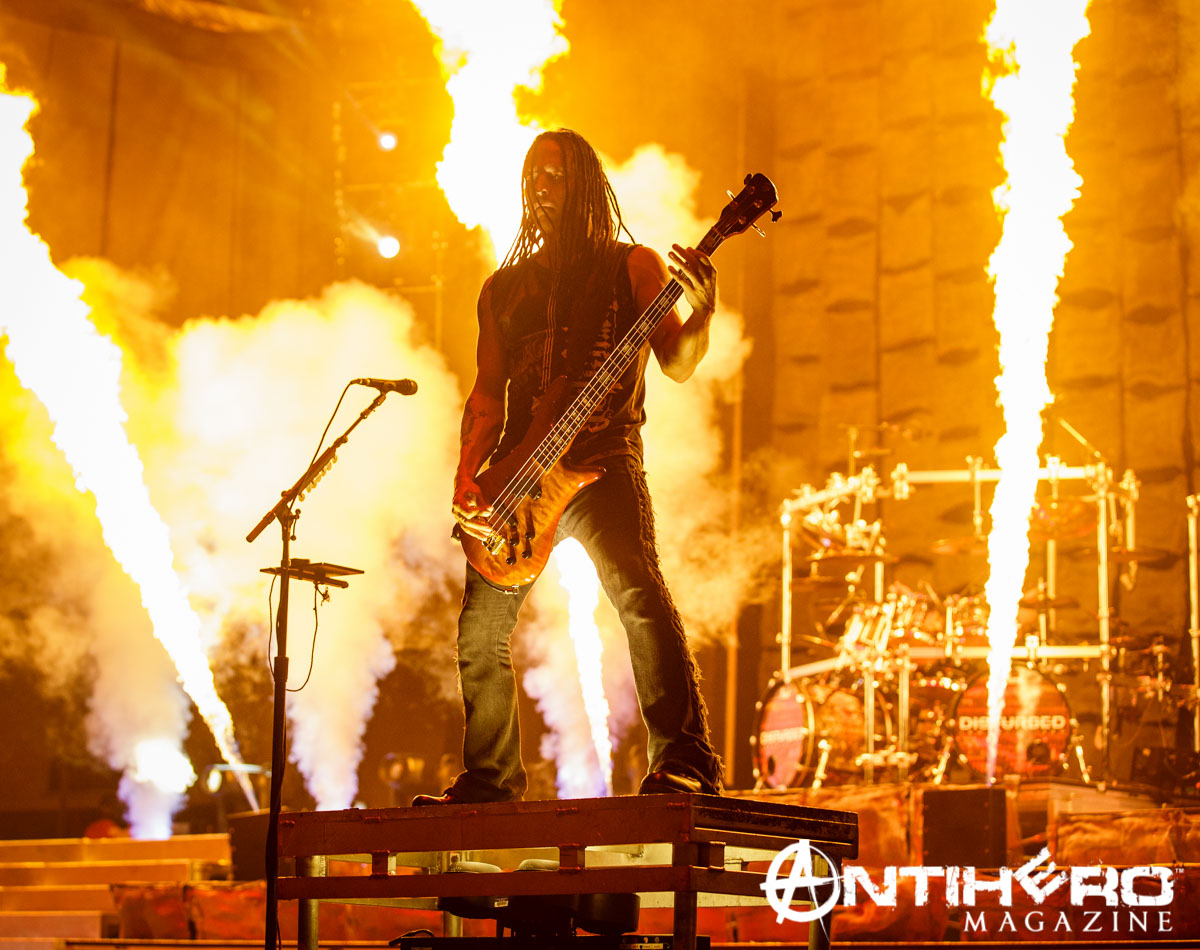 Disturbed