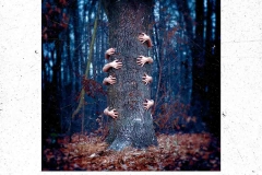 I See Stars - Treehouse