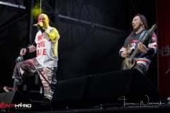 Five Finger Death Punch