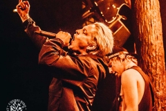 TWA_BTF_DFW_TREES_CB-0407