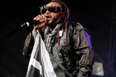 Skindred