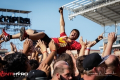 Lamb of God