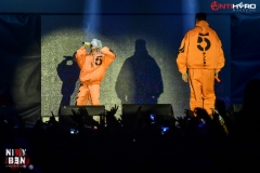 Die Antwoord