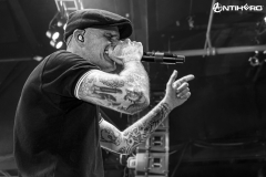 Dropkick Murphys
