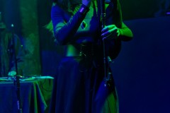 FAUN