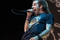 Lamb of God
