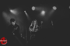 Marmozets