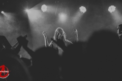 Marmozets