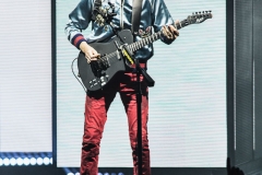 Muse