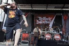 The Black Dahlia Murder