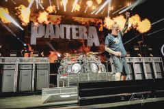 Pantera