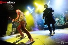 The Damned