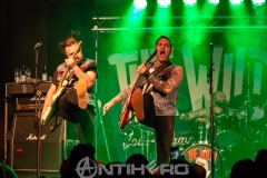 Wild-Antihero-105