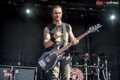 Alter Bridge