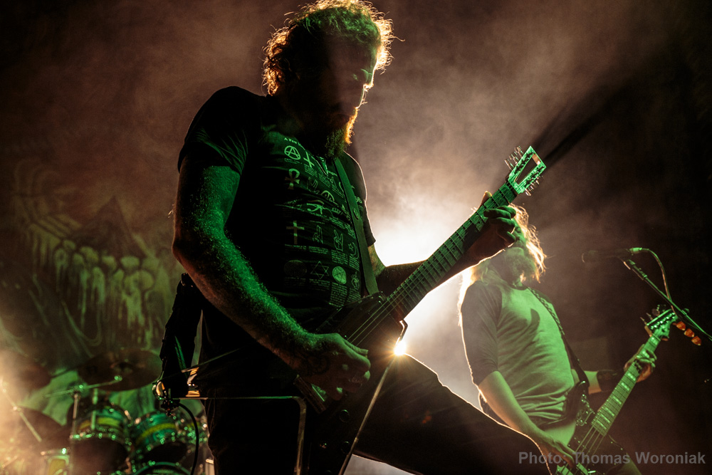 Mastodon