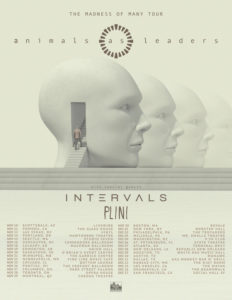animals as leaders