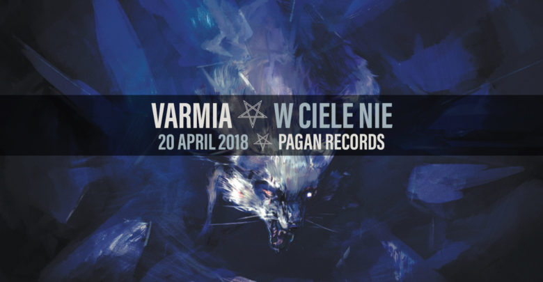 VARMIA