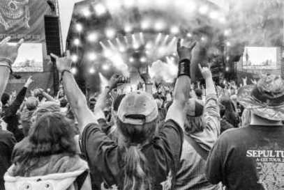 Bloodstock