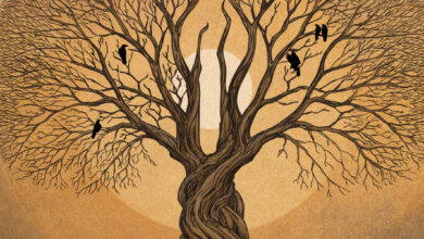 August Burns Red