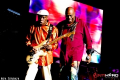 Experience Hendrix Tour