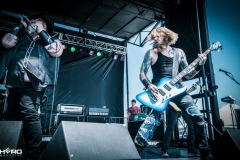 Texas Hippie Coalition