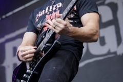 Alter Bridge
