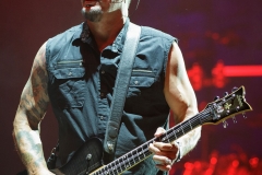 Disturbed